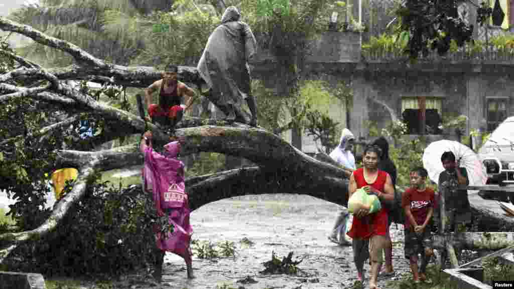 Residents saw an uprooted tree to clear the road after Typhoon Bopha hit Tagum City, Philippines, December 4, 2012.