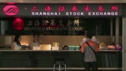 专访：中国经济不会崩溃 但面临危机