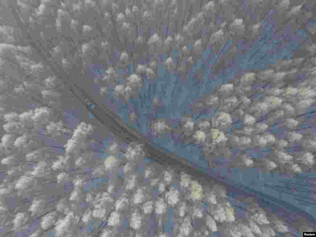 រថយន្ត​មួយ​បើក​លើ​ផ្លូវ​កាត់​ឧទ្យាន​មួយ​នៅ​ក្រុង Changchun ខេត្ត Jilin ប្រទេស​ចិន កាល​ពី​ថ្ងៃ​ទី២៧ ខែ​ធ្នូ ឆ្នាំ​២០១៦។