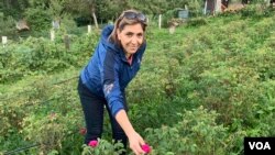 Dženana Balić u vrtu đulberšećerki.