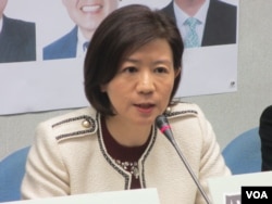 台湾在野党国民党立委王育敏(美国之音张永泰拍摄)