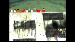 委内瑞拉漫画家揭示监狱生活