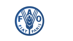 ኣብ ገማግም ቀይሕ ባሕሪ ወራር ዕስለ ኣንበጣ ምህላው ሕ/ሃ የጠንቅቕ