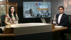 بي بي شیرینه – وي او اې ډيوه په ټیلې ویژن