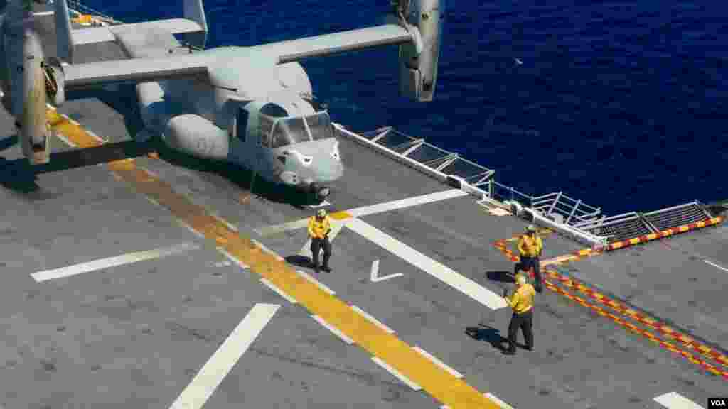 鱼鹰降落美舰鲍克瑟号（美国之音国符拍摄）