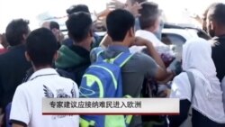 专家建议应接纳难民进入欧洲
