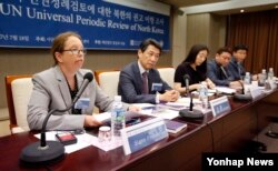18일 오후 서울 중구 프레스센터에서 열린 유엔인권이사회 보편적 인권정례검토에 대한 북한의 권고 이행 조사 세미나에서 시네 폴슨 유엔 서울사무소 소장(왼쪽)이 토론하고 있다. 왼쪽 두번째는 오준 전 유엔대사.
