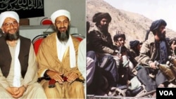 په پېښور کې مېشت د واشنګټن پوسټ ورځپاڼې خبريال حق نوازخان وي او ای ډيوه ته وايي د افغان طالبانو او القاعده ترمنځه نظرياتي اړيکې موجود دي او په داسې حال کې  د القاعده پرضد د طالبانو عمليات به مشکل وي