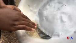 L’or d’Eseka au Cameroun (vidéo)