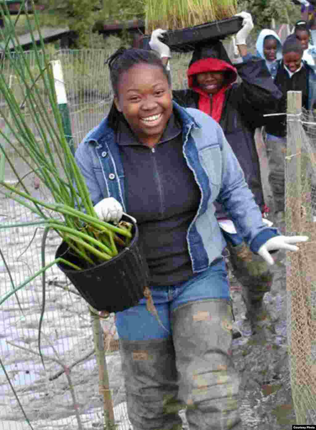 Para tenaga sukarela melakukan proyek untuk membangun kembali lahan basah di Sungai Anacostia. (Foto: Anacostia Watershed Society)
