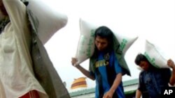 ဆန်တင်ပို့မှု ယာယီရပ်ဆိုင်း