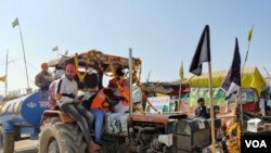 Farmers celebrate at Singhu border, one of the protest sites where farmers have been camping after Prime Minister Modi announced the decision to roll back three contentious farm laws. (VOA/Anjana Pasricha)