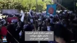شعار مردم و حامیان حیوانات در اعتراض به کشتار سگ‌ها مقابل شهرداری تهران