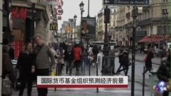 IMF：全球经济上扬 发展中国家风险增加