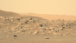 Quiz - New Evidence Suggests a Large Water Ice Supply near Mars’ Equator