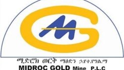 'Kontoratii Laga-Dambii ifoomaa fi qorannoo jabduu malee Midrookif haareffame'