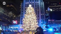В Нью-Йорке зажглись огни главной рождественской елки
