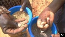 FILE - Flooding and drought wrecked Malawi's maize harvest, so the country has been importing the staple crop.
