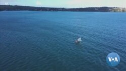 British Fishermen Sinking Without EU Trade