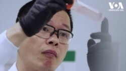 სტუდია ვაშინგტონი, 17 ივლისი