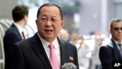 朝鲜外务相李勇浩 (2017年9月25日)