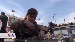 Zarok li Kerkûkê Çivîkên Rişole Digirin û Difiroşin