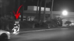 Did a Self-Driving Tesla Really Destroy an Advertising Robot?