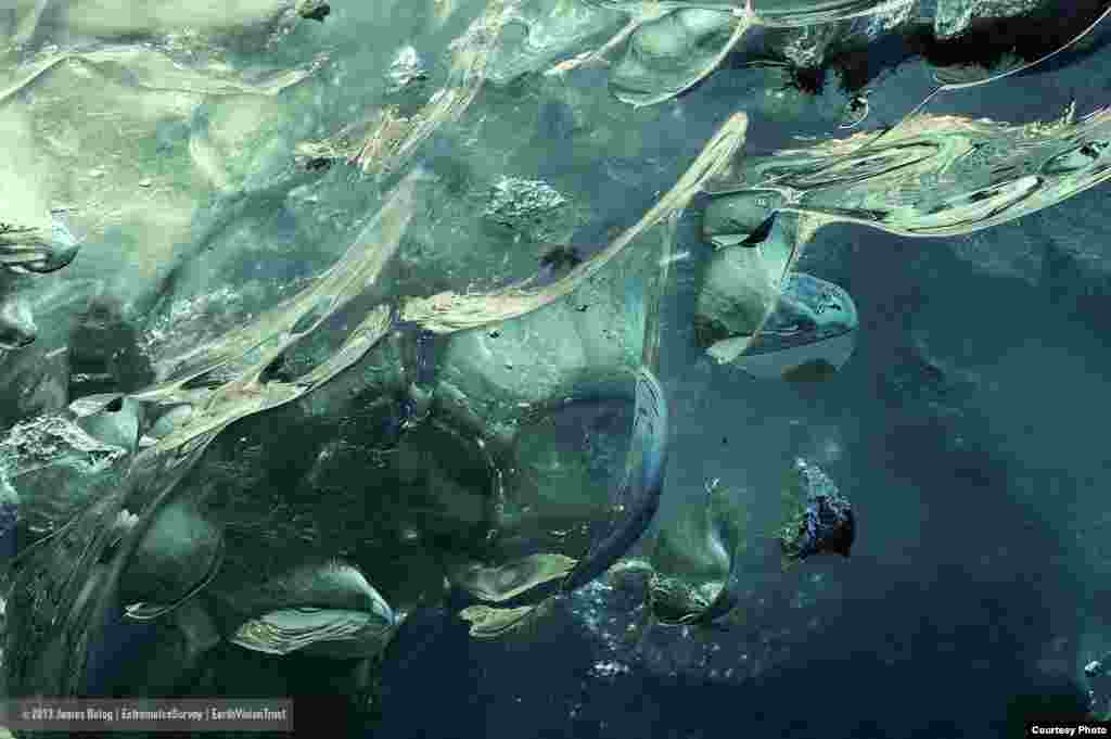 Daerah yang beku di planet Bumi, seperti Gletser Mendenhall di Alaska, menghangat dua kali lipat dari rata-rata global. (James Balog/Extreme Ice Survey)