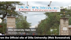 በዲላ ዩኒቨርሲቲ 