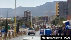 ዓዲግራት - ፋይል