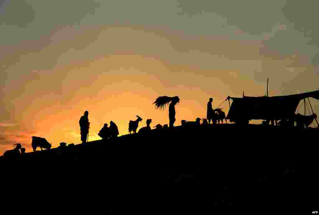 បុរស​ជនជាតិ​អាហ្វហ្គានីស្ថានជាច្រើន​កំពុង​ទិញ​សត្វ​ពាហនៈ​នៅ​ផ្សារ​មួយ​មុន​ពិធីបុណ្យ​សាសនា​ឥស្លាម Eid al-Adha នៅជាយក្រុង Jalalabad។