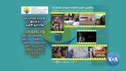 ሰብዓዊ መብት እና ኪነጥበብ