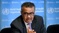 Dünya Sağlık Örgütü Direktörü Tedros Adhanom Ghebreyesus