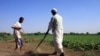 Sudanese farmers prepare their land for agriculture on the banks of the river Nile in Khartoum, November 2009 file photo.
