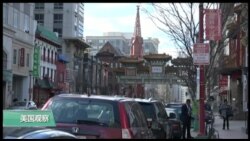 VOA连线(易林) : 华盛顿特区“没有移民的一天 ”