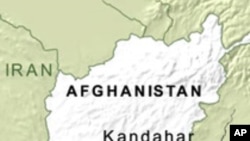 20 Militants Killed in Afghanistan Operations