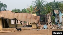 FILE - A goat walks past burned and damaged buildings in Kembong, Southwest region of Cameroon, Dec. 29, 2017.