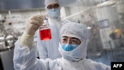 FILE - An engineer looks at monkey kidney cells as he tests an experimental vaccine for the COVID-19 coronavirus inside the Cells Culture Room laboratory at the Sinovac Biotech facilities in Beijing, April 29, 2020.