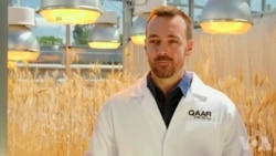 澳科学家开创“快速繁殖”技术 促进农作物生产