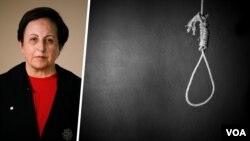 شیرین عبادی، حقوقدان و برنده جایزه نوبل صلح ۲۰۰۳