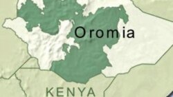 Hidhaa fi Dararaan Nutti Hammaate: Jiraattota Oromiyaa fi Naannolee Adda Addaa