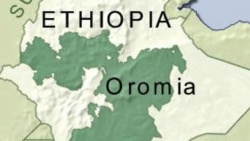 Qonnaan-bultoonni Godinaalee Oromiyaa Hidhattoonni Keessa Socho’anii Sababaa Rakkoo Nageenyaaf Hojiin Qonnaa Jalaa Danqamuu Himatan 