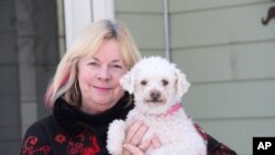 در طول بحران کرونا مردم بیشتری در آمریکا درهای خانه‌هایشان را به روی حیوانات بی خانمان باز کرده‌اند