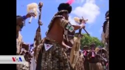 Çalakîya Taybet ya Dijî Kuştina Pilingan li Başûrê Afrîqa