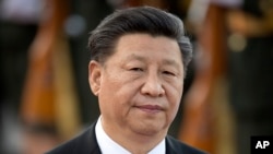 시진핑 중국 국가주석. 
