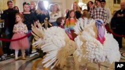 ጆ ባይደን 81 ዓመታቸውን ለተርኪዎች ምህረት በማድረግ አከበሩ