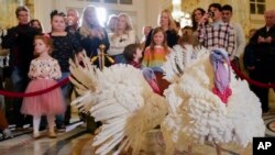 ໄກ່ງວງສອງໂຕ ທີ່ມີຊື່ວ່າ Liberty ແລະ Bell ເຊິ່ງຈະໄດ້ຮັບການໃຫ້ອະໄພໂທດ ຈາກປະທານາທິບໍດີ ທີ່ນຳນຽບຂ່າວ ກ່ອນວັນຂອບຄຸນພະເຈົ້າ (Thanksgiving), ເຂົ້າຮ່ວມການຖະແຫຼງຂ່າວ ວັນທີ 19 ພະຈິກ 2023 ທີ່ໂຮງແຮມ Willard InterContinental ໃນວໍຊິງຕັນ. 