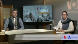 بي بي شیرینه – وي او اې ډيوه په ټیلې ویژن