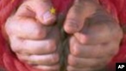 中国监禁网上记者