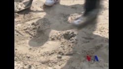 美青少年犯浪子回头 帮助桑迪飓风灾民